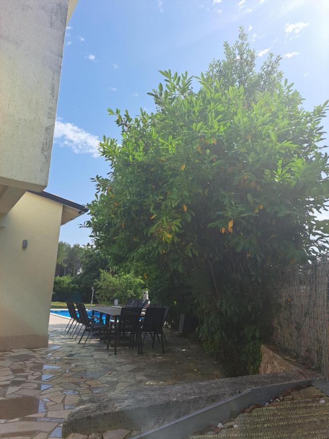 Villa Eucaliptus Istrien Rovinj Exterior photo